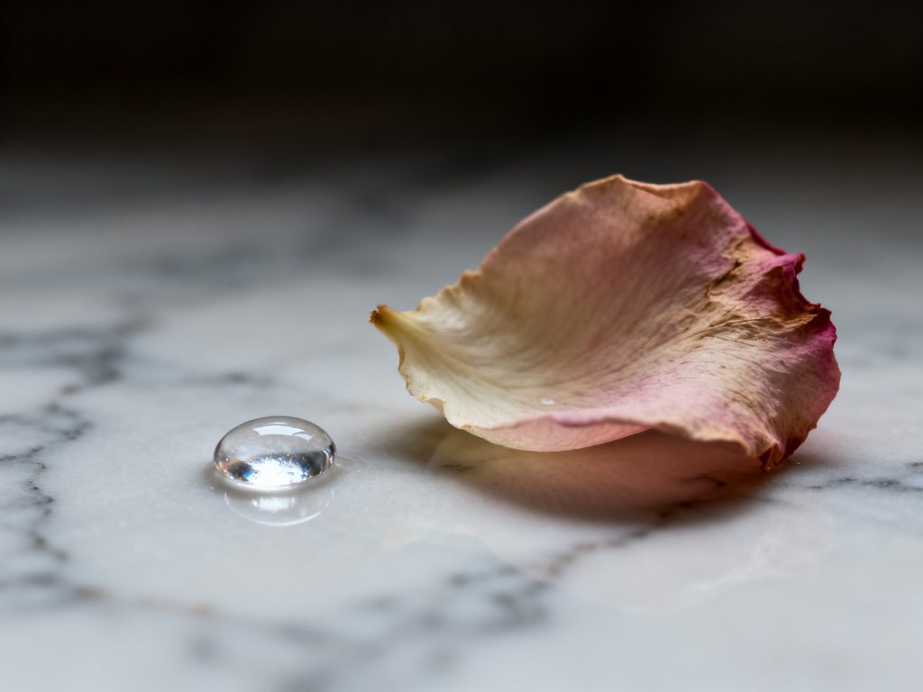 Metáfora visual sobre a sensibilidade e a necessidade de hidratação dos tecidos íntimos na menopausa para evitar a dor.